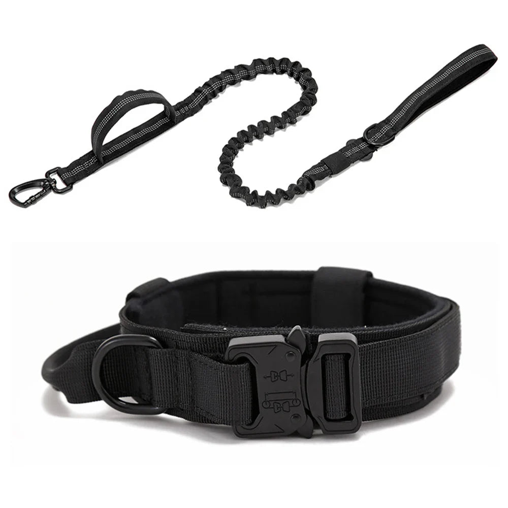 Elastic leash + collar kit - FreeSnout™