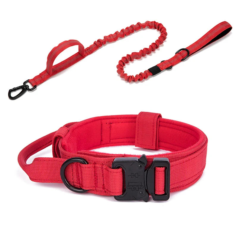 Elastic leash + collar kit - FreeSnout™