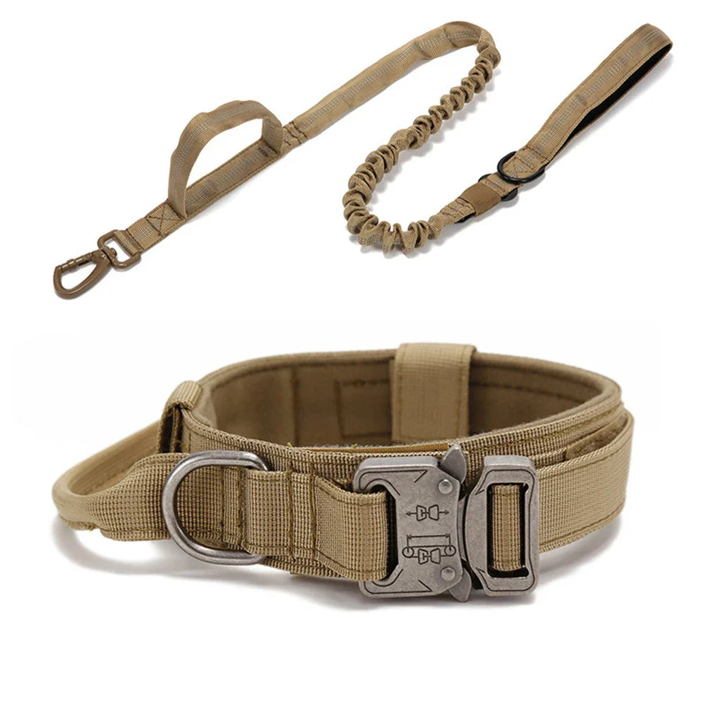 Elastic leash + collar kit - FreeSnout™