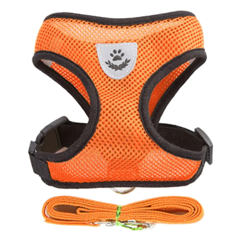 Breathable small dog harness - FreeSnout™