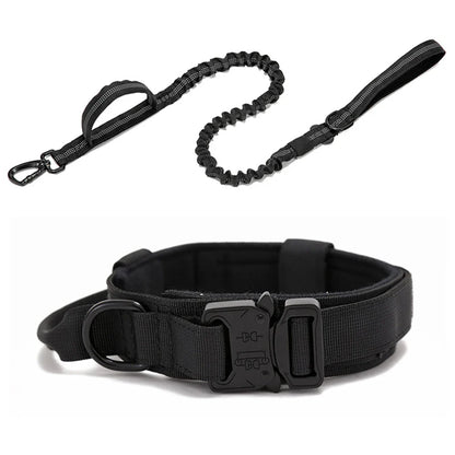 Elastic leash + collar kit - FreeSnout™