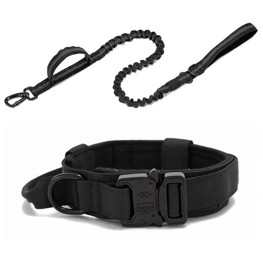 Elastic leash + collar kit - FreeSnout™