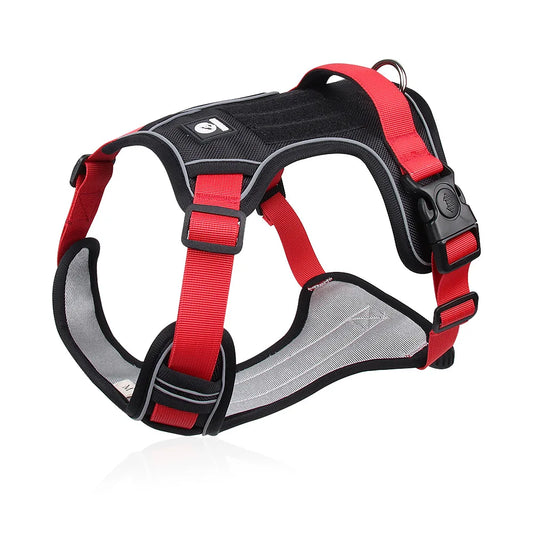 Reflective harness - FreeSnout™