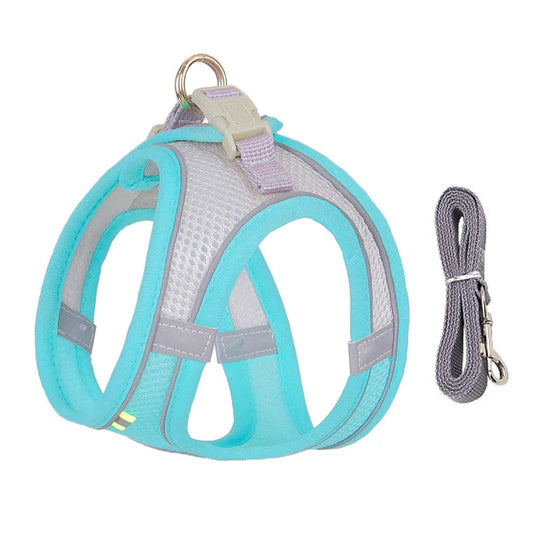 Small dog harness - FreeSnout™
