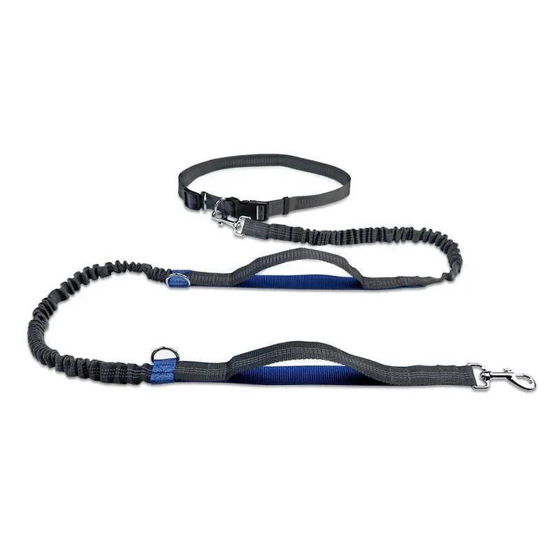 Laisse chien main libre - FreeSnout™