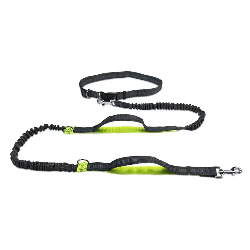 Laisse chien main libre - FreeSnout™