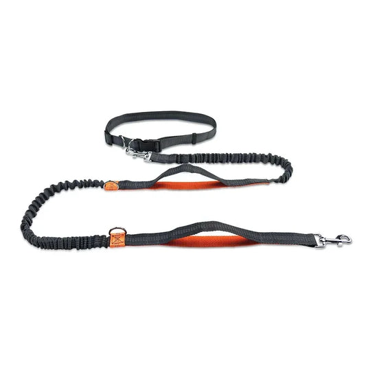 Laisse chien main libre - FreeSnout™