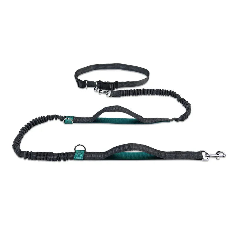 Laisse chien main libre - FreeSnout™