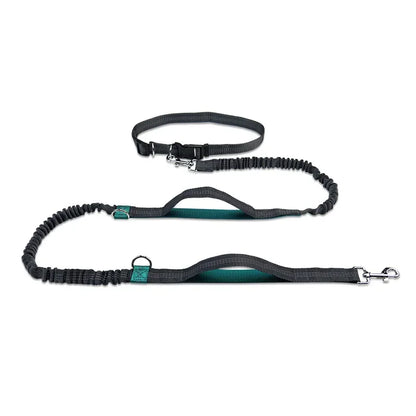Laisse chien main libre - FreeSnout™