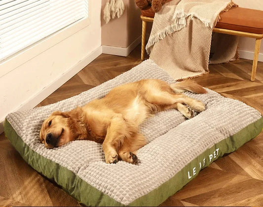 Dog Mattress - FreeSnout™